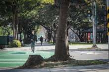 行人守護神現身新竹綠園道 40座小綠人打造友善步行空間